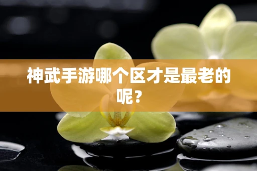 神武手游哪个区才是最老的呢？
