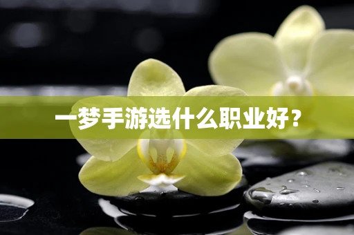 一梦手游选什么职业好？
