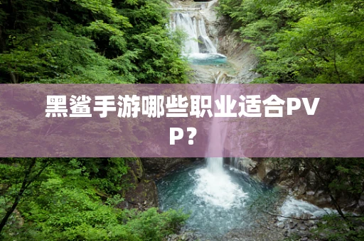 黑鲨手游哪些职业适合PVP？