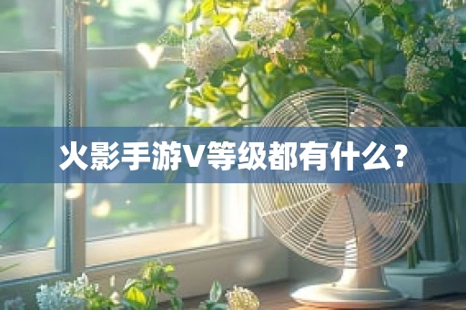 火影手游V等级都有什么？