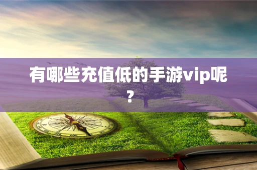 有哪些充值低的手游vip呢？