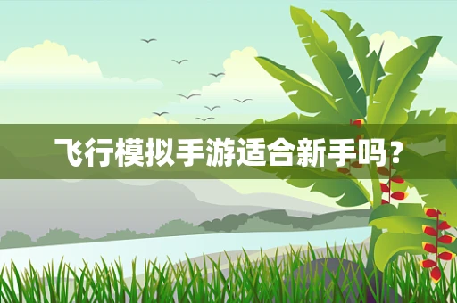 飞行模拟手游适合新手吗？