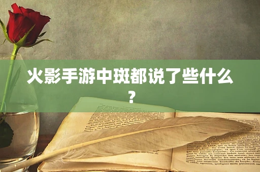 火影手游中斑都说了些什么？