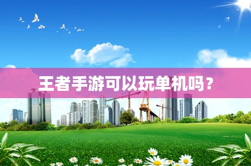 王者手游可以玩单机吗？