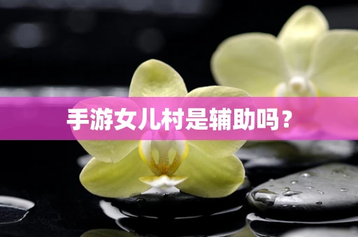 手游女儿村是辅助吗？