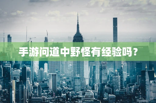 手游问道中野怪有经验吗？