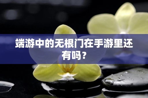 端游中的无根门在手游里还有吗？