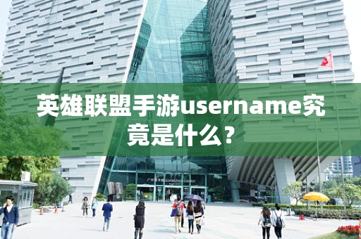 英雄联盟手游username究竟是什么？