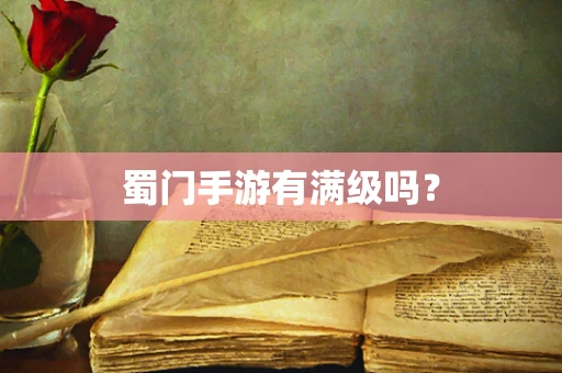 蜀门手游有满级吗？