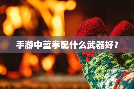 手游中蓝拳配什么武器好？