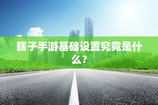 瞎子手游基础设置究竟是什么？