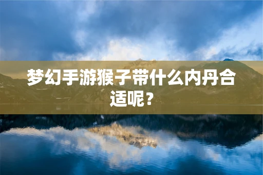 梦幻手游猴子带什么内丹合适呢？