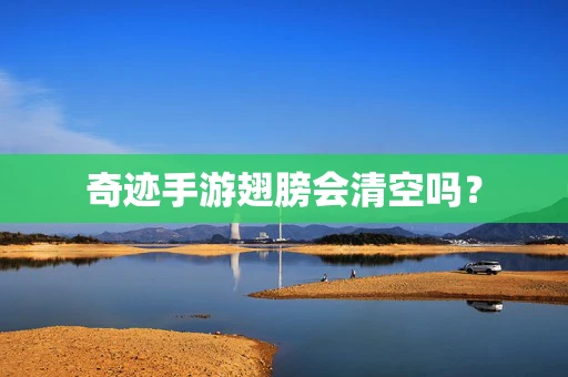 奇迹手游翅膀会清空吗？