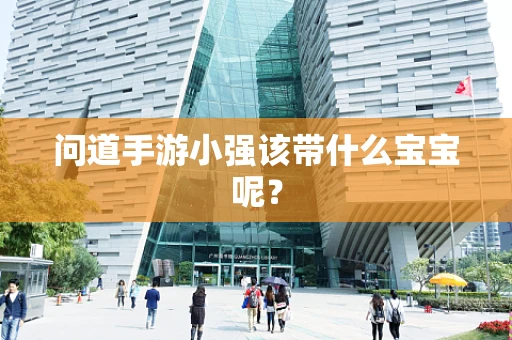 问道手游小强该带什么宝宝呢？