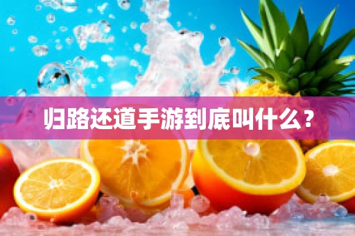 归路还道手游到底叫什么？