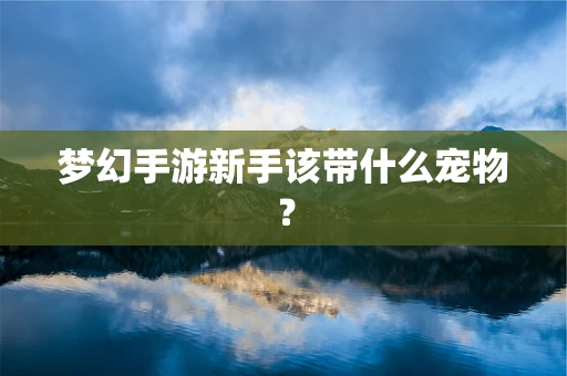 梦幻手游新手该带什么宠物？