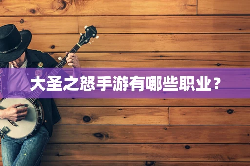 大圣之怒手游有哪些职业？