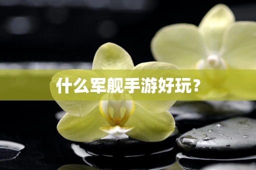 什么军舰手游好玩？