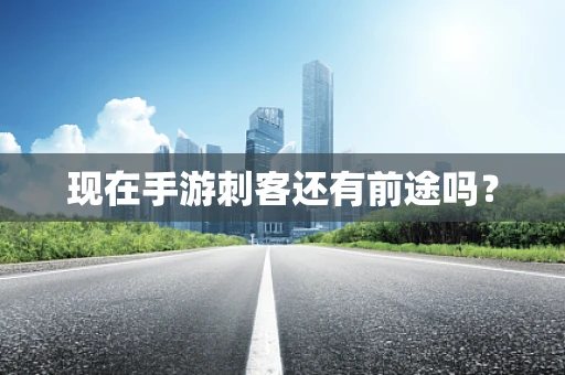 现在手游刺客还有前途吗？