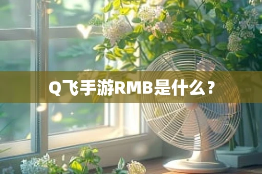 Q飞手游RMB是什么？