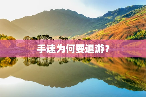 手速为何要退游？