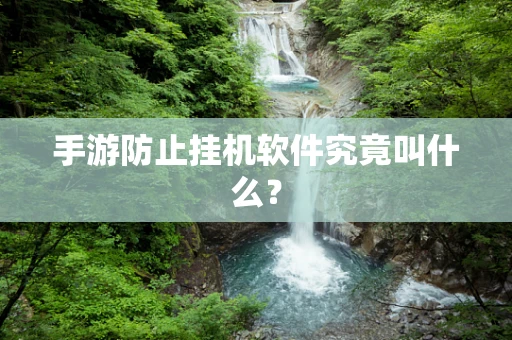 手游防止挂机软件究竟叫什么？