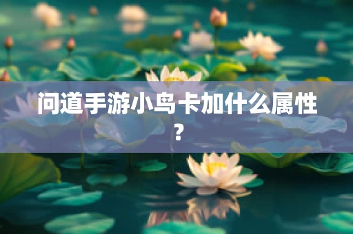 问道手游小鸟卡加什么属性？