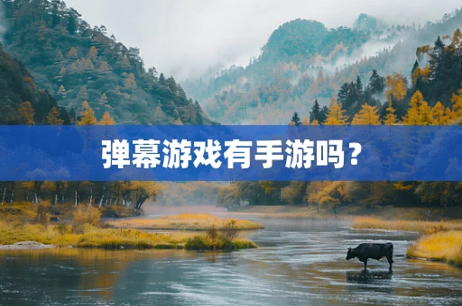 弹幕游戏有手游吗？