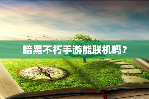 暗黑不朽手游能联机吗？