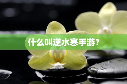 什么叫逆水寒手游？