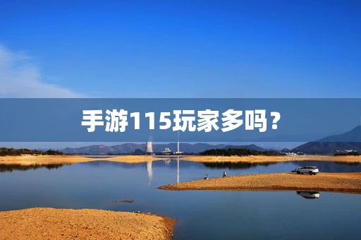 手游115玩家多吗？
