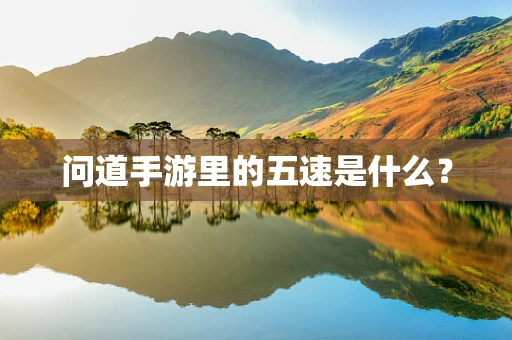 问道手游里的五速是什么？