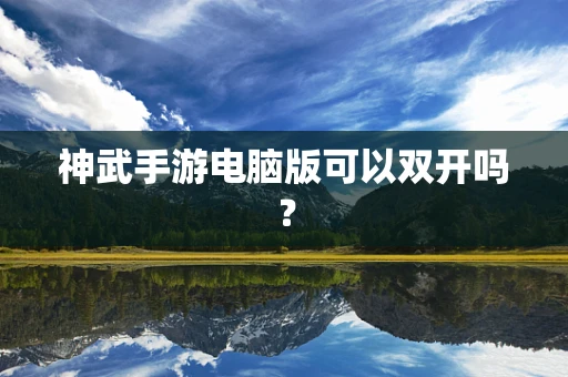 神武手游电脑版可以双开吗？