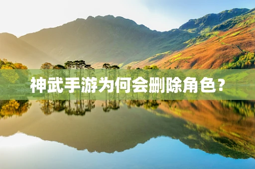 神武手游为何会删除角色？