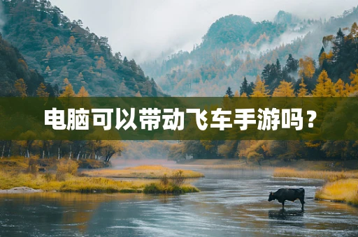 电脑可以带动飞车手游吗？