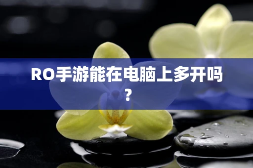 RO手游能在电脑上多开吗？