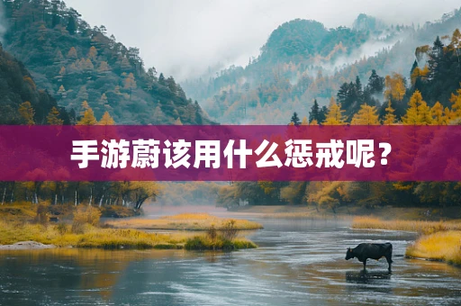 手游蔚该用什么惩戒呢？