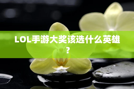 LOL手游大奖该选什么英雄？