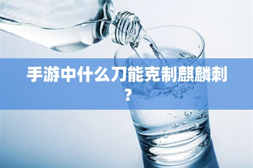 手游中什么刀能克制麒麟刺？