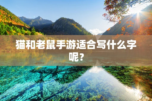 猫和老鼠手游适合写什么字呢？