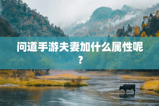 问道手游夫妻加什么属性呢？