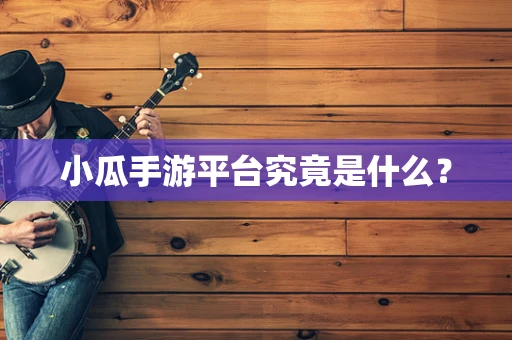 小瓜手游平台究竟是什么？