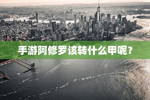 手游阿修罗该转什么甲呢？