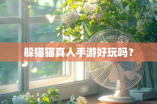 躲猫猫真人手游好玩吗？