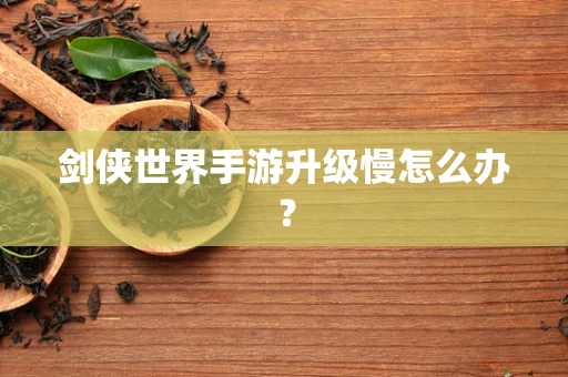 剑侠世界手游升级慢怎么办？