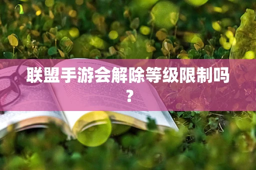 联盟手游会解除等级限制吗？