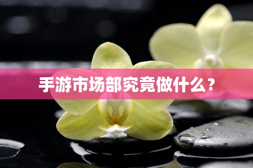 手游市场部究竟做什么？