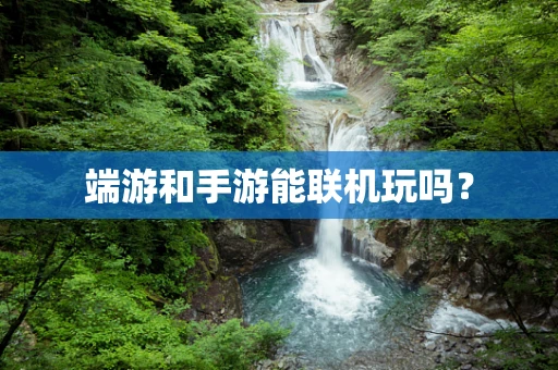 端游和手游能联机玩吗？