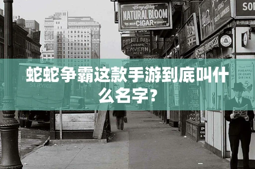蛇蛇争霸这款手游到底叫什么名字？