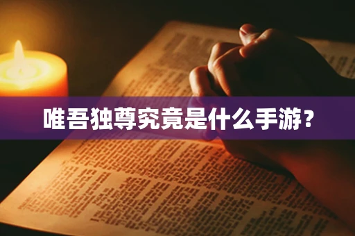 唯吾独尊究竟是什么手游？